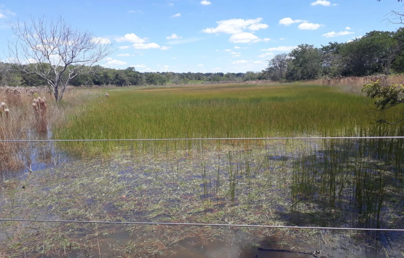 img-quinta-das-tabocas-2